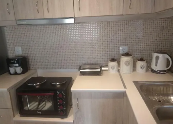 The Little Gem Under The Rocks